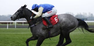 Silver Shade ridden by Kevin Jones goes on to win the Play Coral 'Racing-Super-Series' For Free Juvenile Hurdle