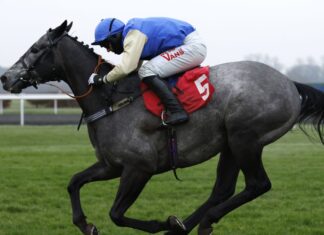 Harris hopes Silver Shed can infiltrate Cheltenham Silver Shade ridden by Kevin Jones goes on to win the Play Coral 'Racing-Super-Series' For Free Juvenile Hurdle