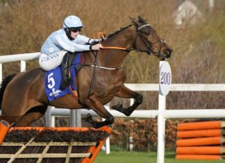 Henry de Broomhead proud of the Cheltenham Competition workforce Rachael Blackmore riding Honeysuckle to victory