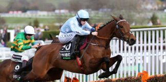 Honeysuckle clears the last in the Champion Hurdle ahead of Epatante
