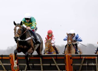 Jonbon satisfies Henderson at Kempton Spin Jonbon cruises to victory at Ascot