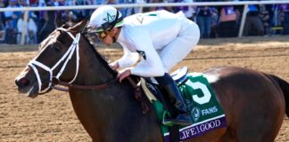 Life is nice for Bleacher earlier than the Dubai World Cup tilts Irad Ortiz Jr. rides Life is Good to victory in the Breeders' Cup Dirt Mile