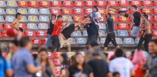 Liga MX bans Queretaro fans, 'bars' after brawl

