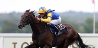 Wonderful Tonight is on target to run in the Prix de l'Arc de Triomphe