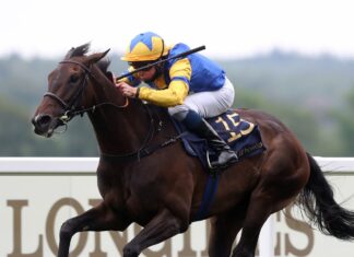Minoisier is searching for a successor to Great Tonight Wonderful Tonight is on target to run in the Prix de l'Arc de Triomphe