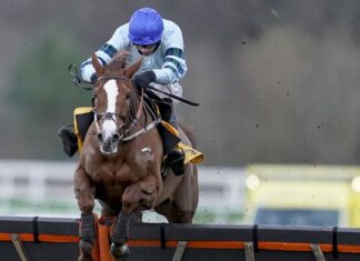 Morrison desirous to tackle Champion Hurdle Not So Sleepy