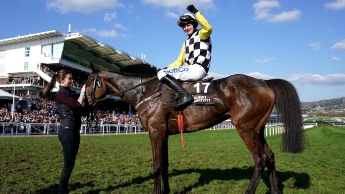 Mullins-once-again-as-The-Nice-Guy-proves-hes-the.jpg The Nice Guy and Sean O'Keeffe celebrate winning the Albert Bartlett Novices' Hurdle during day four of the Cheltenham Festival at Cheltenham Racecourse. Picture date: Friday March 18, 2023.