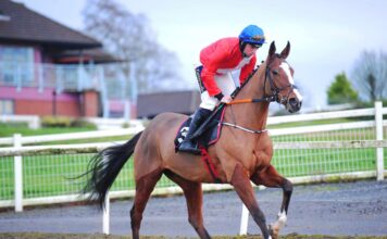 Sir Gerhard and Jamie Codd on their way to post at Navan