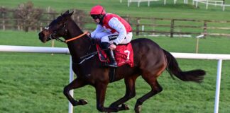 Sandor Clegane and Barry O'Neill winning for trainer Paul Nolan at Punchestown.