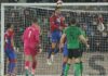 Palace within the quarter-finals after a late victory over Stoke Joachim Andersen removes the goal line for the palace
