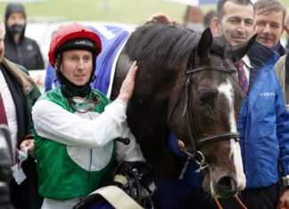 Pyledriver could defend crown as Muir ponders . choices Martin Dwyer and Pyledriver in the winner's enclosure at Epsom after Coronation Cup success