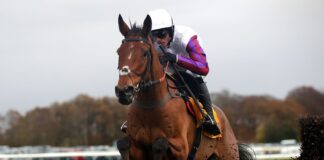 Bravemansgame ridden by jockey Harry Cobden wins at Haydock