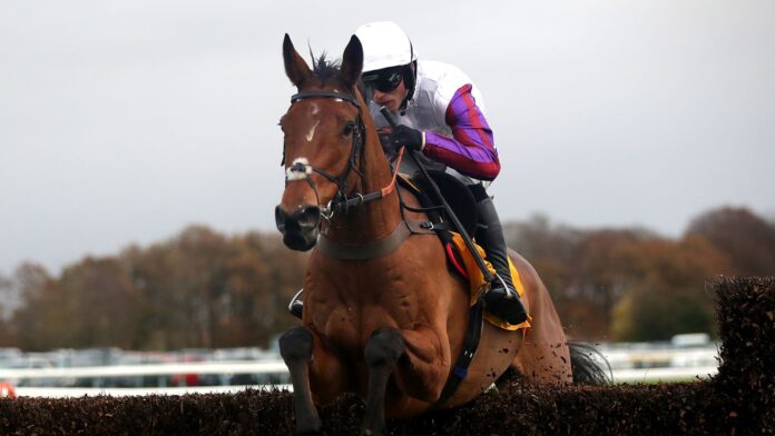 Race-Talk-The-electric-Bravemans-are-ready-for-Cheltenham.jpg Bravemansgame ridden by jockey Harry Cobden wins at Haydock