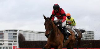 Russell: Cheltenham for champions and Ahoy Senor one Ahoy Senor beat Mr Incredible and Flash Collonges in impressive style