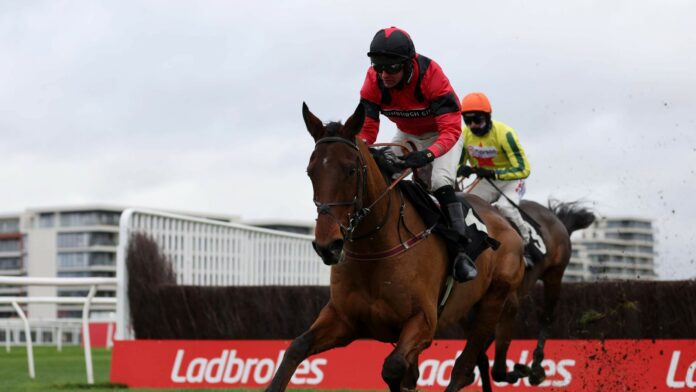 Russell-Cheltenham-for-champions-and-Ahoy-Senor-one.jpg Ahoy Senor beat Mr Incredible and Flash Collonges in impressive style