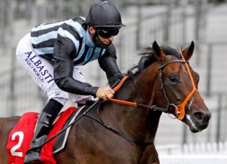 Ryan: Chindit’s class ought to shine within the Doncaster solar Chindit