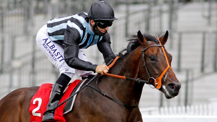 Ryan-Chindits-class-should-shine-in-the-Doncaster-sun.jpg Chindit