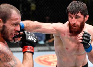 Santos vs Ancalive: Easy methods to watch and broadcast, plus evaluation and your finest guess Santos vs Ancalive: How to watch and broadcast, plus analysis and your best bet