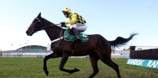 Shishkin landing the spoils at Aintree