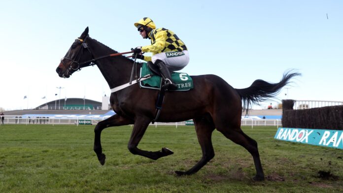 Shishkin-is-set-to-face-Champion-Chase-with-the-stars.jpg Shishkin landing the spoils at Aintree