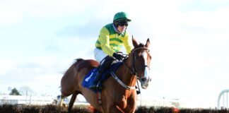 Adamantly Chosen and Paul Townend jump the last to win the Thurles Maiden Hurdle