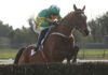Simon Rowlands’ Day at Cheltenham Competition Three Suggestions Janidil ridden by jockey Jody McGarvey on their way to winning the Underwriting Exchange Gold Cup Novice Chase during the 2023 Fairyhouse Easter Festival at Fairyhouse