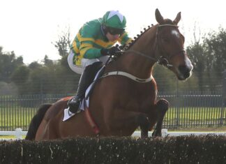 Simon Rowlands’ Day at Cheltenham Competition Three Suggestions Janidil ridden by jockey Jody McGarvey on their way to winning the Underwriting Exchange Gold Cup Novice Chase during the 2023 Fairyhouse Easter Festival at Fairyhouse