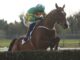 Janidil ridden by jockey Jody McGarvey on their way to winning the Underwriting Exchange Gold Cup Novice Chase during the 2023 Fairyhouse Easter Festival at Fairyhouse 