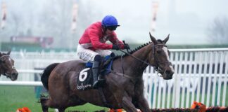 Sir Gerhard and Paul Townend win the Ballymore Novices' Hurdle at Cheltenham
