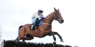 Allegorie De Vassy and Sean O'Keeffe win the BetVictor Solerina Mares Novice Hurdle at Fairyhouse