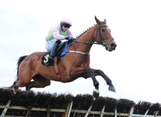 The nice competition Allegorie De Vassy has been disqualified on account of damage Allegorie De Vassy and Sean O'Keeffe win the BetVictor Solerina Mares Novice Hurdle at Fairyhouse