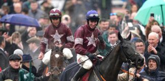 Delta Work and Tiger Roll are led into the Cheltenham winner's enclosure together