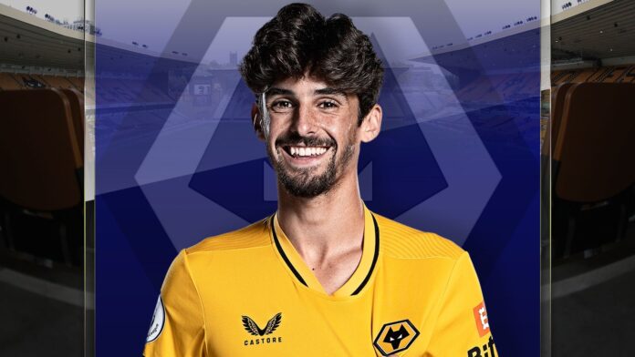 Trinkau-Im-doing-great-things-at-Wolverhampton-I-deserve.jpg GRAPHIC