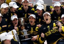 Viewer’s Information: Boston Pleasure vs. Connecticut Whale within the BHF Remaining Viewer's Guide: Boston Pride vs. Connecticut Whale in the BHF Final