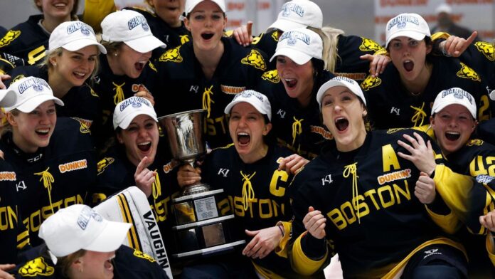 Viewer's Guide: Boston Pride vs. Connecticut Whale in the BHF Final

