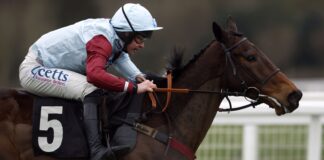 Fuji Flight wins at Kempton