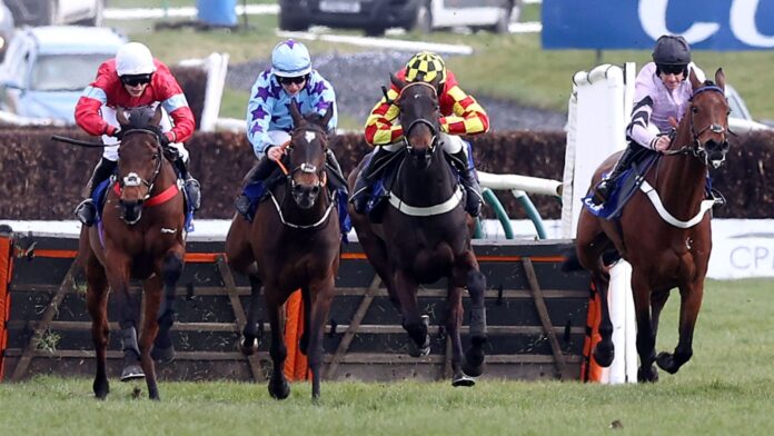 Anna-Bonina-trailing-behind-for-Scottish-Championship-glory.jpg Anna Bunina (blue silks) wins the Coral Scottish Champion Hurdle