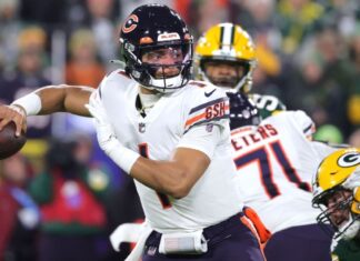 Bears lean on persistence, and perspective to information the long-running strategy this low season Bears lean on patience, and perspective to guide the long-running approach this off-season