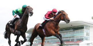 Buckaroo and Declan McDonogh (right) beats Stone Age at Galway