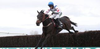 Cobden: The De Obo clan is my best chance for Aintree to succeed

