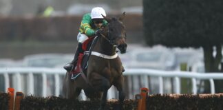 Epatante impressed with her slick jumping as she won the 2023 Christmas Hurdle at Kempton
