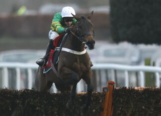 Epatante prepares to board the Aintree Hurdle Epatante impressed with her slick jumping as she won the 2023 Christmas Hurdle at Kempton