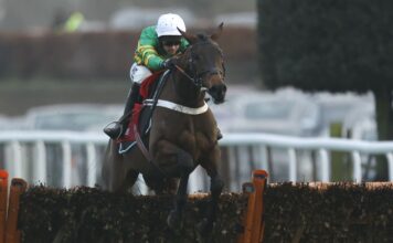 Epatante prepares to board the Aintree Hurdle Epatante impressed with her slick jumping as she won the 2023 Christmas Hurdle at Kempton