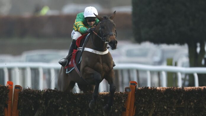 Epatante-prepares-to-board-the-Aintree-Hurdle.jpg Epatante impressed with her slick jumping as she won the 2023 Christmas Hurdle at Kempton