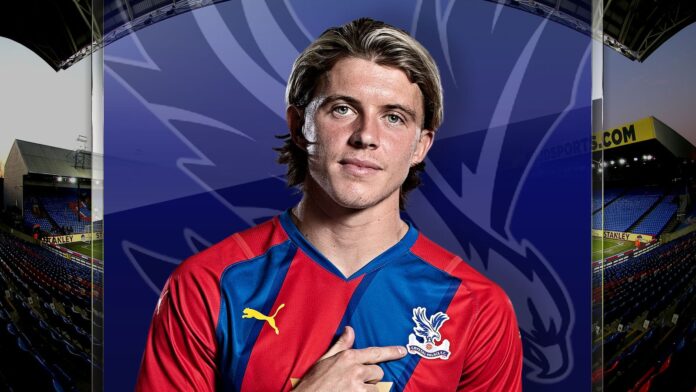 How-Gallagher-amazing-surprised-Vieira.jpg How Gallagher 'amazing' surprised Vieira