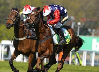 Kitty’s ‘Distinctive’ Mild Ready for Patriotic Scots Kitty's Light