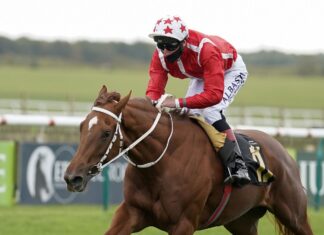 Saffron Seaside at Royal Ascot Street Adam Kirby rides Saffron Beach to win the Group Three Oh So Sharp Stakes at Newmarket last October