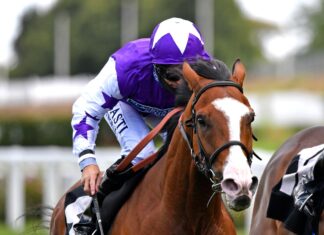 Summon the wind for the cup marketing campaign Calling The Wind