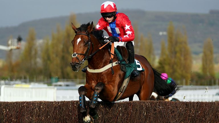 Publisher Du Gite wins Cheltenham