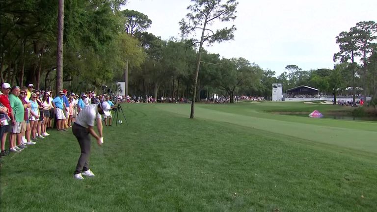 Moments after Rob Lee lauded the lead contenders' Valspar shot, watched Adam Hadwin hit the ball just four yards!